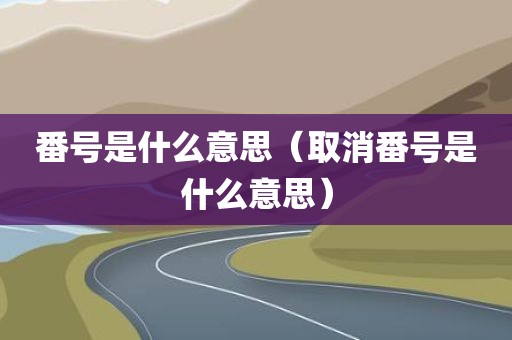番号是什么意思（取消番号是什么意思）