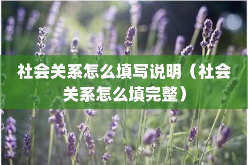 社会关系怎么填写说明（社会关系怎么填完整）