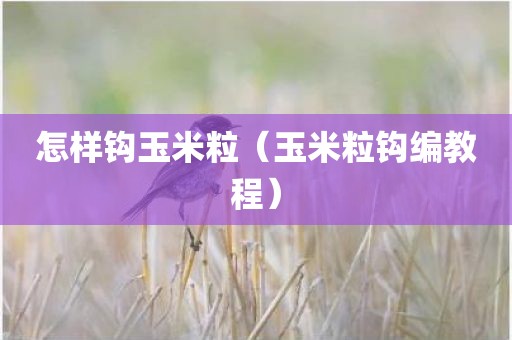 怎样钩玉米粒（玉米粒钩编教程）