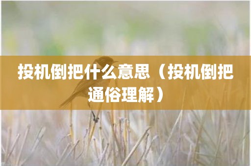投机倒把什么意思（投机倒把通俗理解）