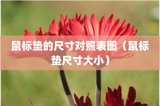 鼠标垫的尺寸对照表图（鼠标垫尺寸大小）