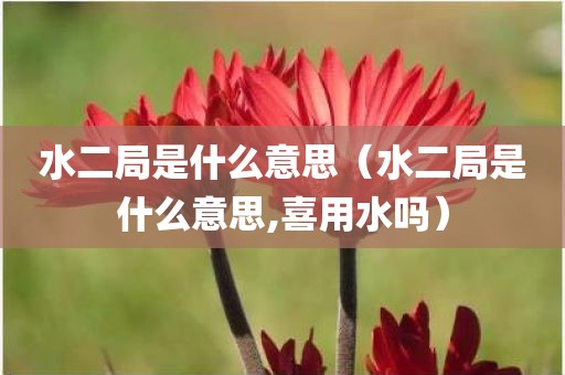 水二局是什么意思(水二局是什么意思,喜用水吗) 水二局是什么意思(水二局是什么意思,喜用水吗)