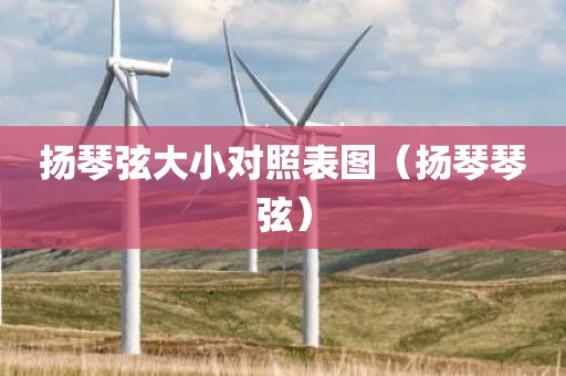 扬琴弦大小对照表图（扬琴琴弦）