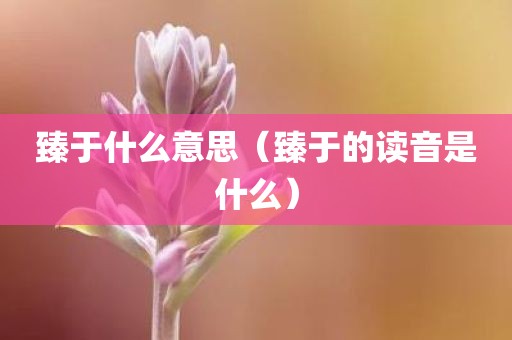 臻于什么意思（臻于的读音是什么）