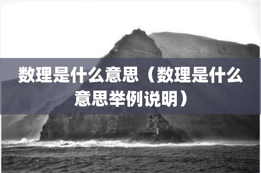 数理是什么意思（数理是什么意思举例说明）