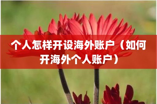 个人怎样开设海外账户（如何开海外个人账户）