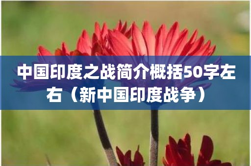 中国印度之战简介概括50字左右（新中国印度战争）