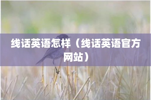 线话英语怎样（线话英语官方网站）
