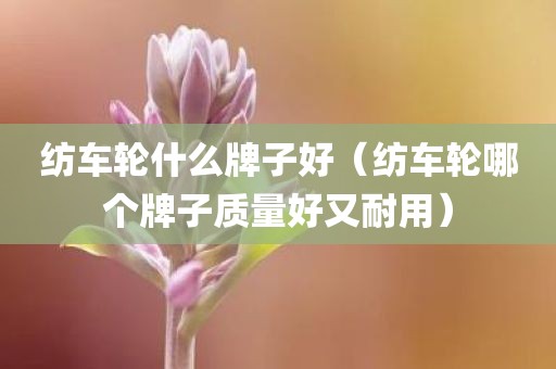 纺车轮什么牌子好（纺车轮哪个牌子质量好又耐用）