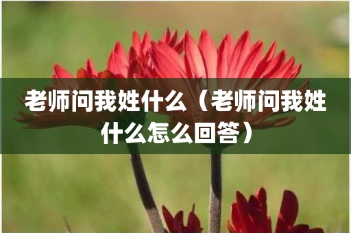 老师问我姓什么(老师问我姓什么怎么回答) 老师问我姓什么(老师问我姓什么怎么回答)