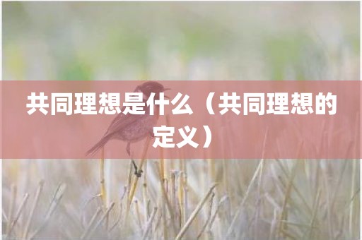 共同理想是什么（共同理想的定义）