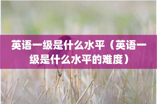 英语一级是什么水平（英语一级是什么水平的难度）