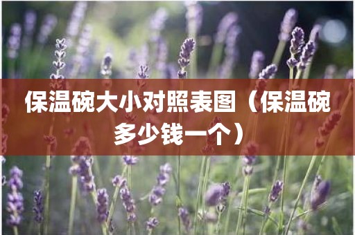 保温碗大小对照表图（保温碗多少钱一个）