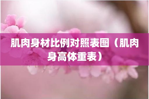 肌肉身材比例对照表图（肌肉身高体重表）