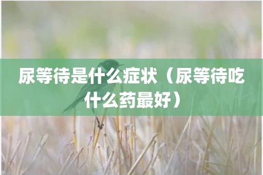 尿等待是什么症状（尿等待吃什么药最好）