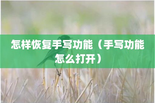怎样恢复手写功能（手写功能怎么打开）