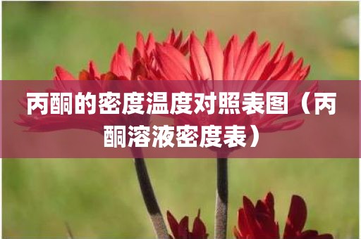 丙酮的密度温度对照表图（丙酮溶液密度表）