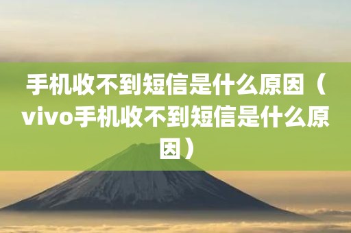 手机收不到短信是什么原因（vivo手机收不到短信是什么原因）
