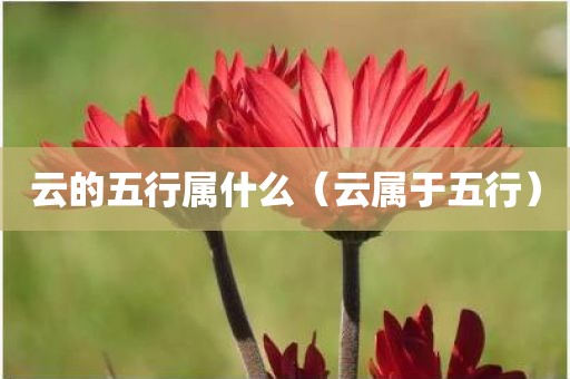 云的五行属什么（云属于五行）
