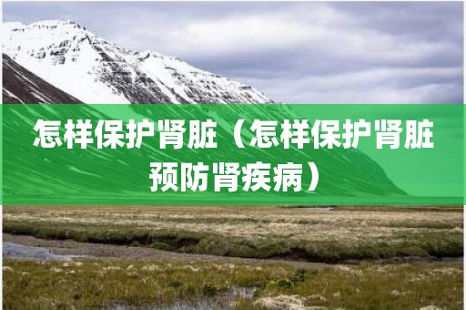 怎样保护肾脏（怎样保护肾脏预防肾疾病）