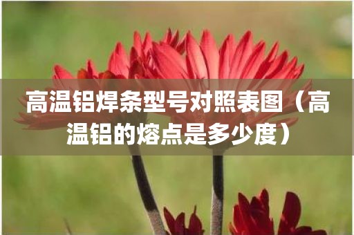 高温铝焊条型号对照表图（高温铝的熔点是多少度）