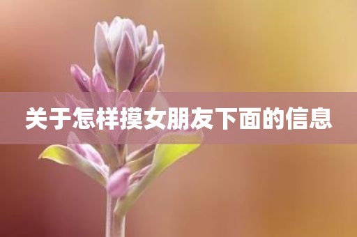 关于怎样摸女朋友下面的信息