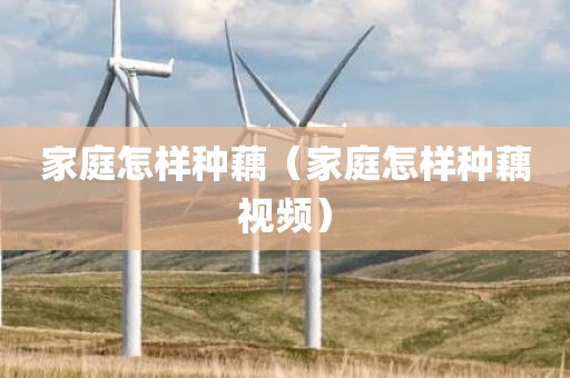 家庭怎样种藕（家庭怎样种藕视频）
