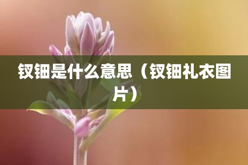 钗钿是什么意思（钗钿礼衣图片）