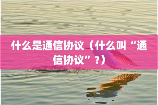 什么是通信协议（什么叫“通信协议”?）