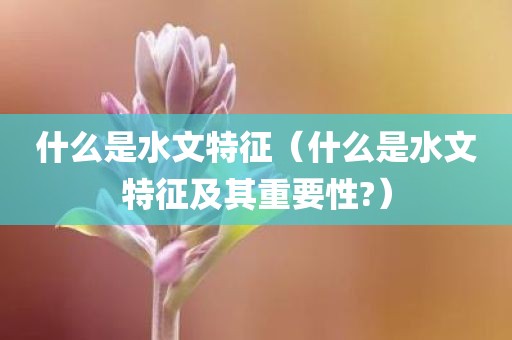 什么是水文特征（什么是水文特征及其重要性?）