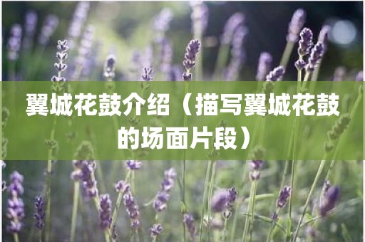 翼城花鼓介绍（描写翼城花鼓的场面片段）