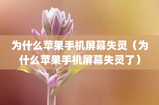 为什么苹果手机屏幕失灵（为什么苹果手机屏幕失灵了）