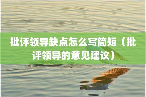 批评领导缺点怎么写简短（批评领导的意见建议）