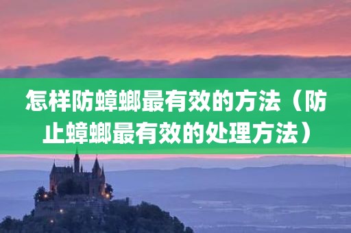 怎样防蟑螂最有效的方法（防止蟑螂最有效的处理方法）