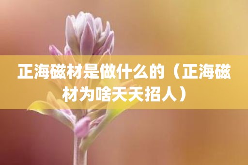 正海磁材是做什么的（正海磁材为啥天天招人）