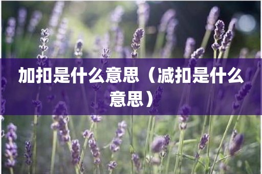 加扣是什么意思（减扣是什么意思）