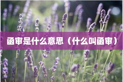 函审是什么意思（什么叫函审）