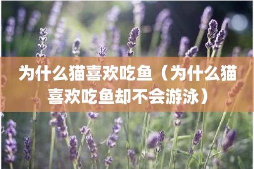 为什么猫喜欢吃鱼（为什么猫喜欢吃鱼却不会游泳）