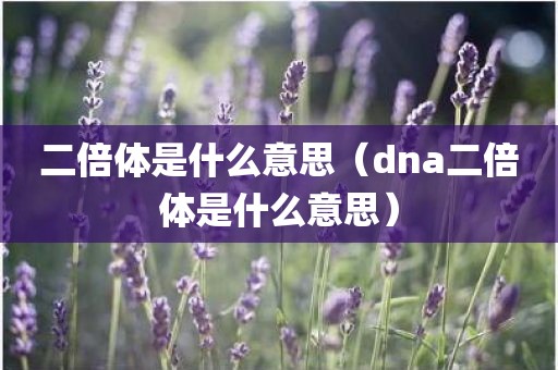 二倍体是什么意思（dna二倍体是什么意思）