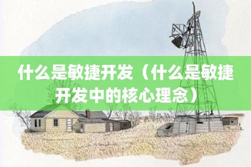 什么是敏捷开发（什么是敏捷开发中的核心理念）