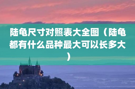 陆龟尺寸对照表大全图（陆龟都有什么品种最大可以长多大）