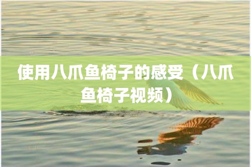 使用八爪鱼椅子的感受（八爪鱼椅子视频）