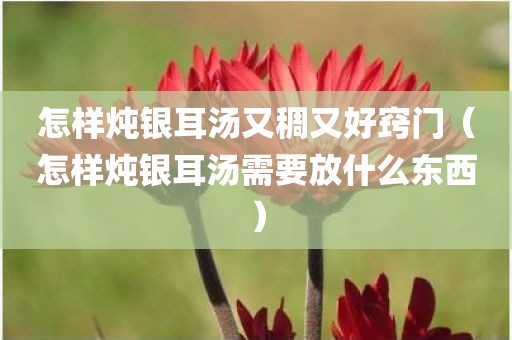 怎样炖银耳汤又稠又好窍门（怎样炖银耳汤需要放什么东西）