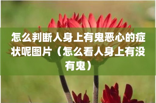 怎么判断人身上有鬼恶心的症状呢图片（怎么看人身上有没有鬼）