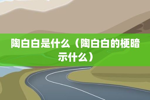 陶白白是什么（陶白白的梗暗示什么）