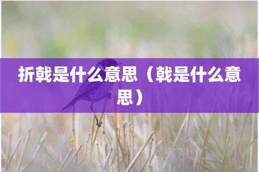 折戟是什么意思（戟是什么意思）