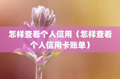 怎样查看个人信用（怎样查看个人信用卡账单）
