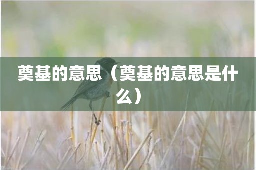 奠基的意思（奠基的意思是什么）