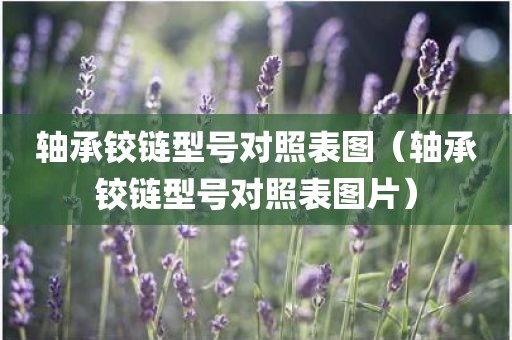 轴承铰链型号对照表图（轴承铰链型号对照表图片）