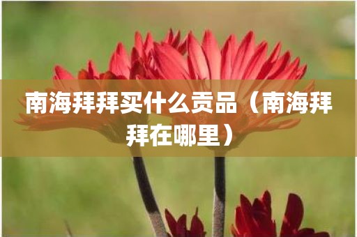 南海拜拜买什么贡品（南海拜拜在哪里）
